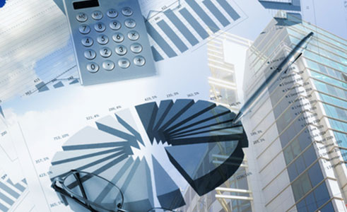 Holistic Rental and Asset Manager